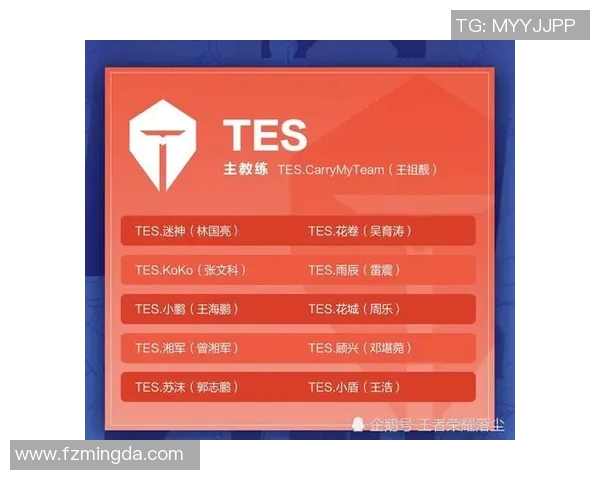 王者荣耀战术解析：WE战队区域防守体系的深度剖析与应用