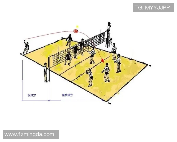 从零起步掌握排球战术全解析助你成为排球高手的必备指南