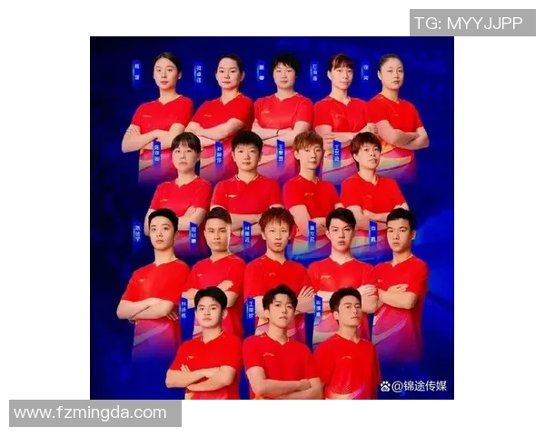 北京乒乓球队比赛经验引发热议球迷与专家观点大碰撞