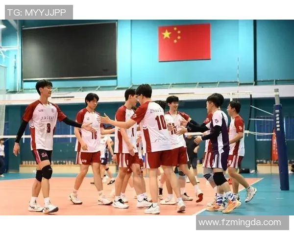 成都排球队的默契配合与战术探讨聚焦排球的团队精神与协作能力 成都排球队的默契配合与战术探讨聚焦排球的团队精神与协作能力