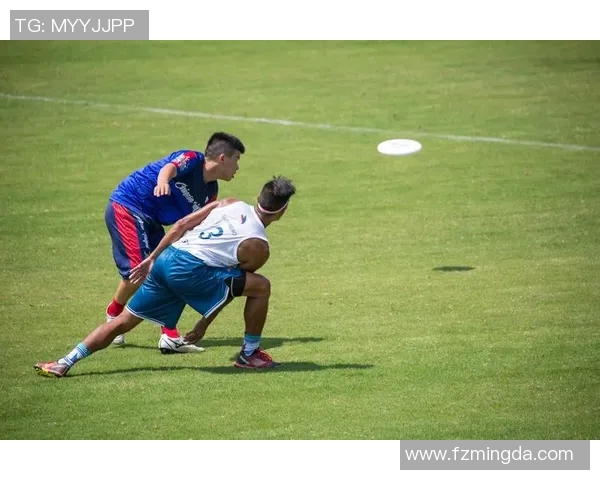 武汉飞盘队的崛起与奋斗精神探索飞盘运动的魅力与团队力量 武汉飞盘队的崛起与奋斗精神探索飞盘运动的魅力与团队力量