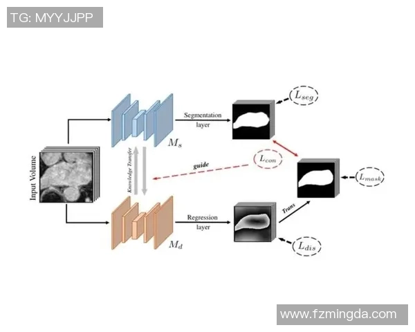武汉攀岩队数据分析揭示团队配合表现的关键因素与提升策略