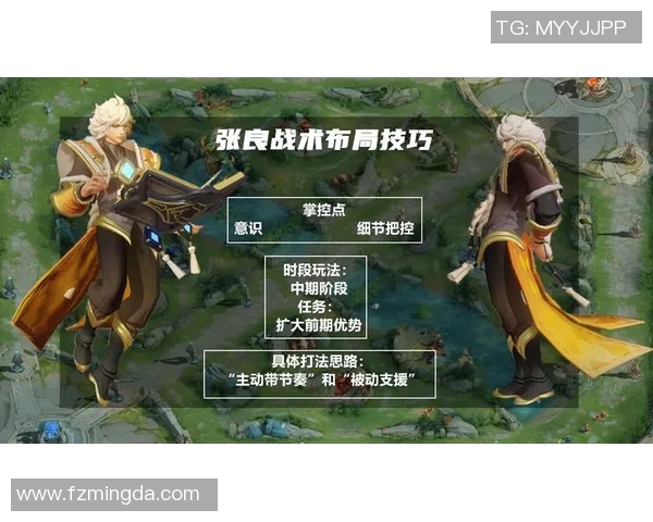 赛后分析V5与WE在比赛中的团队配合与战术执行探讨